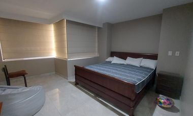 Alquiler de departamento completamente amoblado de dos dormitorios en Torres Colón
