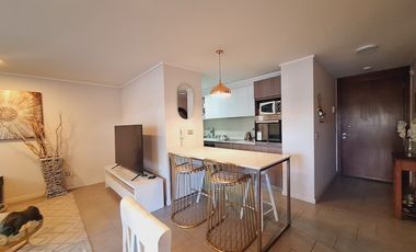 LUIS COUSIÑO / AV. HACIENDA DE MACUL / MALL PLAZA QUILIN