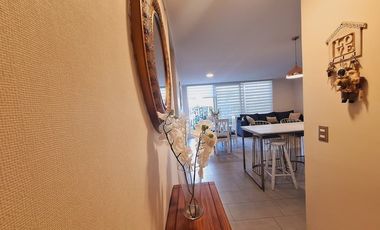 LUIS COUSIÑO / AV. HACIENDA DE MACUL / MALL PLAZA QUILIN