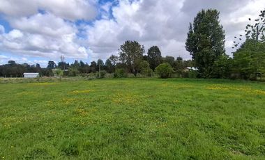 Casa en venta en LOS MUERMOS