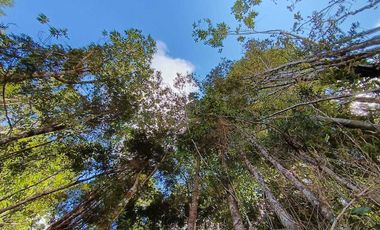 Parcela en venta en PUERTO MONTT