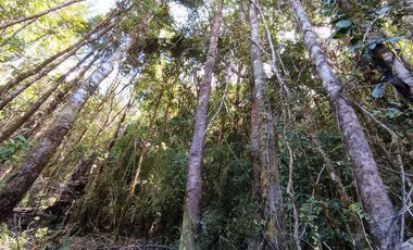 Parcela en venta en PUERTO MONTT