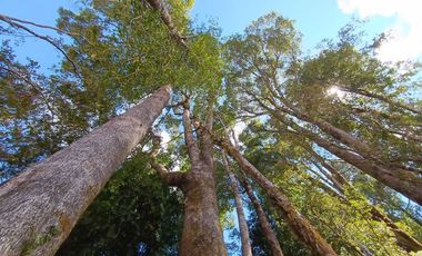 Parcela en venta en PUERTO MONTT