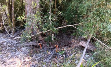 Parcela en venta en PUERTO MONTT