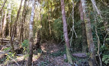 Parcela en venta en PUERTO MONTT