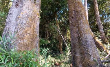 Parcela en venta en PUERTO MONTT