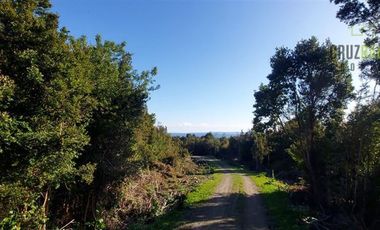 Casa en Arriendo en Piedra Azul