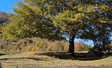 Parcela en Venta en Recinto