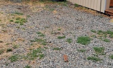 Sitio en Venta en VICUÑA MACKENNA