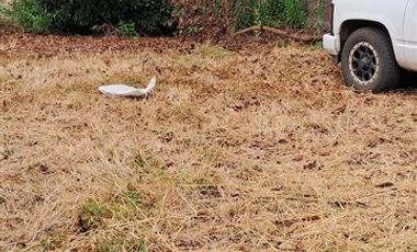 Sitio en Venta en VICUÑA MACKENNA