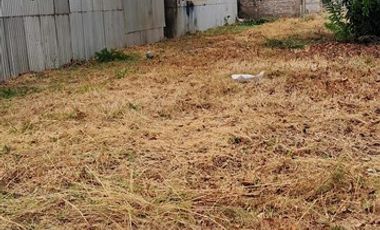 Sitio en Venta en VICUÑA MACKENNA