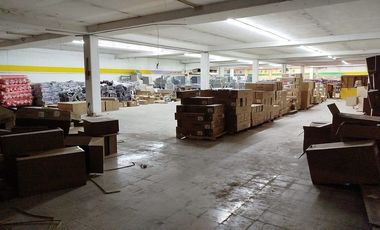 Local Comercial en Renta en Centro, Mérida Yucatán