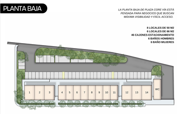 Local en renta planta baja Plaza Core Vía Paseo Norte,Tixcuytun