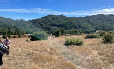 OPORTUNIDAD EN CONCEPCIÓN, VENTA PARCELA 10000M2