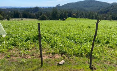 OPORTUNIDAD EN CONCEPCIÓN, VENTA PARCELA 10000M2