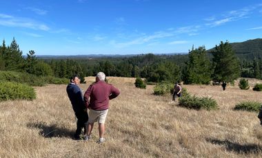 OPORTUNIDAD EN CONCEPCIÓN, VENTA PARCELA 10000M2