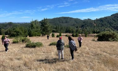 OPORTUNIDAD EN CONCEPCIÓN, VENTA PARCELA 10000M2