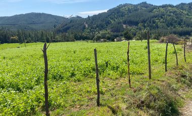 OPORTUNIDAD EN CONCEPCIÓN, VENTA PARCELA 10000M2