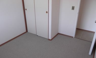 SE ARRIENDA DEPARTAMENTO EN LOS PINOS