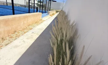 Casa en venta en Dzitya, Mérida, Yucatán