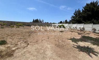 Sitio en Arriendo en Los chercanes