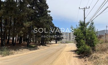 Sitio en Arriendo en Los chercanes