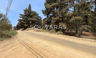 Sitio en Arriendo en Los chercanes