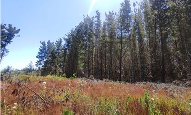 SE VENDE PARCELA EN RESERVA DE TUNQUEN, VALPRAISO.