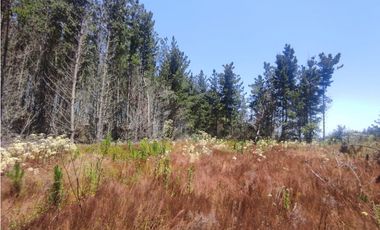 SE VENDE PARCELA EN RESERVA DE TUNQUEN, VALPRAISO.