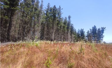 SE VENDE PARCELA EN RESERVA DE TUNQUEN, VALPRAISO.