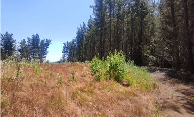 SE VENDE PARCELA EN RESERVA DE TUNQUEN, VALPRAISO.