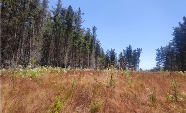 SE VENDE PARCELA EN RESERVA DE TUNQUEN, VALPRAISO.