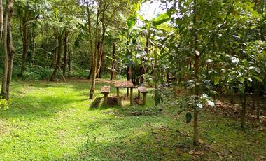 FINCA EN ARRIENDO UBICADA EN EL RETIRO SECTOR EL SALADO