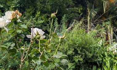 Casa en Venta con gran Terreno | Zona Polideportivo | Luján