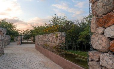 Departamento en renta sin muebles en Pájaro en Piedra