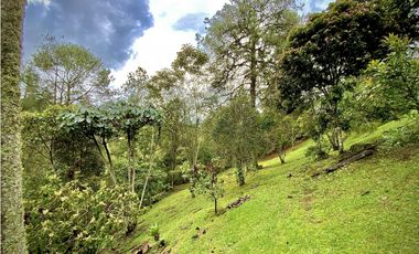 Venta Espectacular Casa Moderna Parcelacion El Retiro