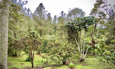 Venta Espectacular Casa Moderna Parcelacion El Retiro