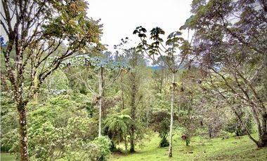 Venta Espectacular Casa Moderna Parcelacion El Retiro