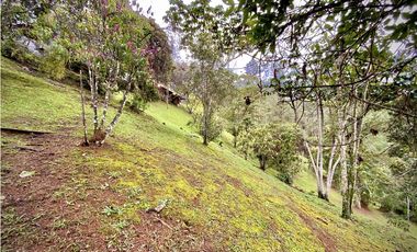 Venta Espectacular Casa Moderna Parcelacion El Retiro