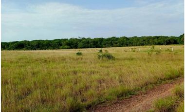 Venta Finca Paraje San Isidro, Puerto Gaitán