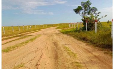 Venta Finca Paraje San Isidro, Puerto Gaitán