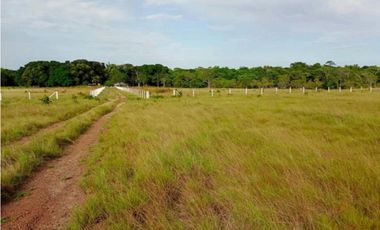 Venta Finca Paraje San Isidro, Puerto Gaitán