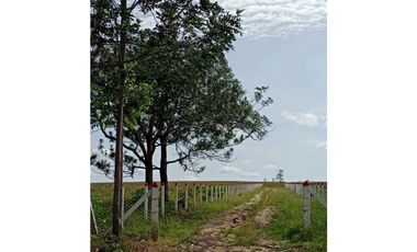 Venta Finca Paraje San Isidro, Puerto Gaitán
