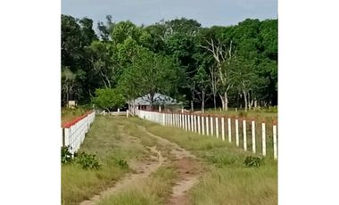 Venta Finca Paraje San Isidro, Puerto Gaitán