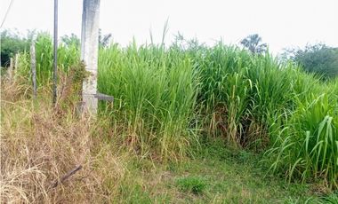 LOTE CAMPESTRE EN VENTA VA PALMIRA-CERRITO CERCA A LA PANAMERICANA