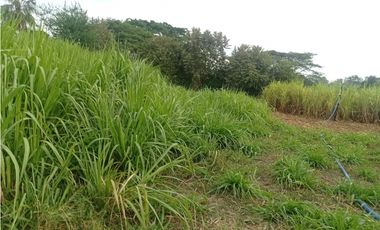 LOTE CAMPESTRE EN VENTA VA PALMIRA-CERRITO CERCA A LA PANAMERICANA