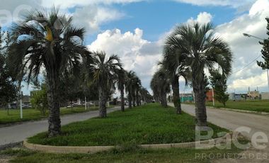 OPORTUNIDAD LOTE EN TIERRA DE SUEÑOS 3