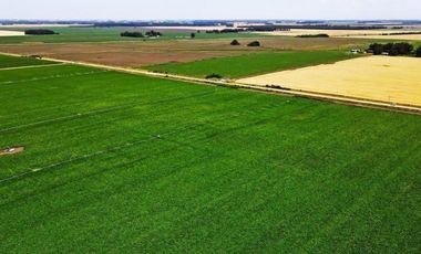 Campo 4 hectáreas / Miramar, Gral. Alvarado