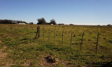 Campo 4 hectáreas / Miramar, Gral. Alvarado