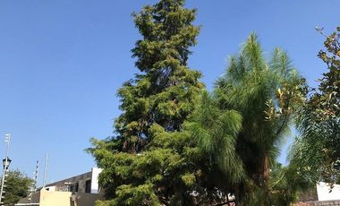 Venta Casa en condominio en el Fortín de 3 recámaras